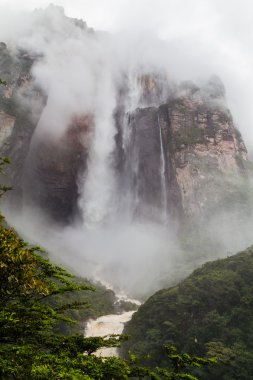 Angel Falls (Salto Angel), dünyanın en yüksek çağlayanıdır (978 m), Venezuela. Bulutlarda yağışlı sezon sırasında kapalı.