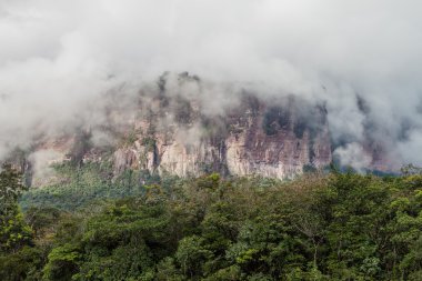 Tepui (Masa Dağı) Auyan: Canaima Ulusal Parkı, Venezuela