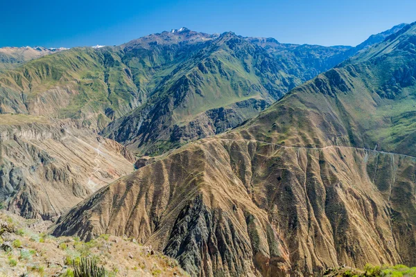 Deep Colca Canyon Peru — Stock Photo, Image