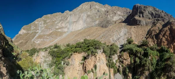 Canyon Colca - second deepest canyon in the World, Peru