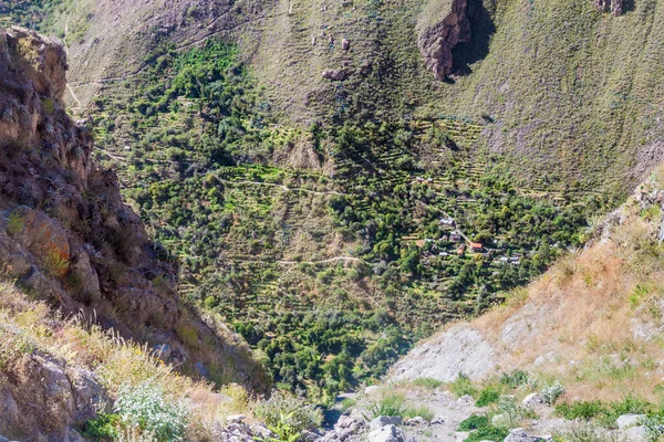 Cañón Del Colca Perú Fondo — Foto de Stock