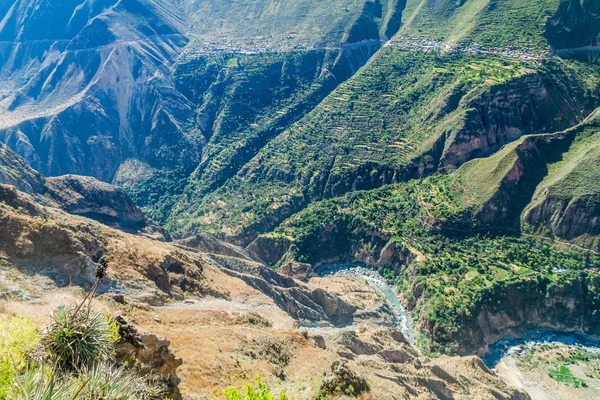 Río Profundo Cañón Del Colca Perú — Foto de Stock