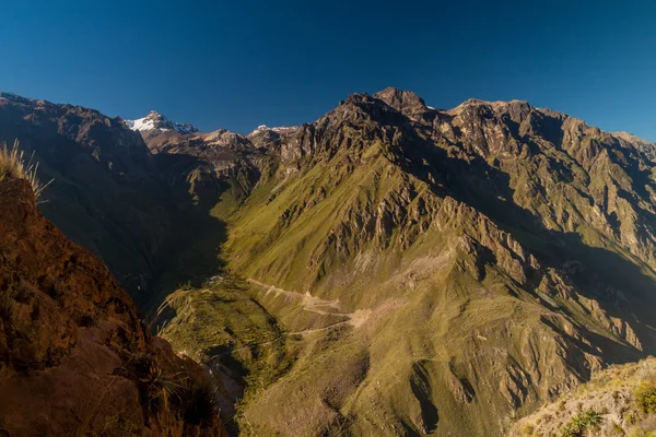 Steile Wände Der Colca Schlucht Peru — Stockfoto