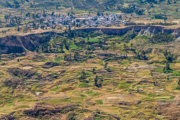Terrasses Agricoles Abancay Pérou — Photo