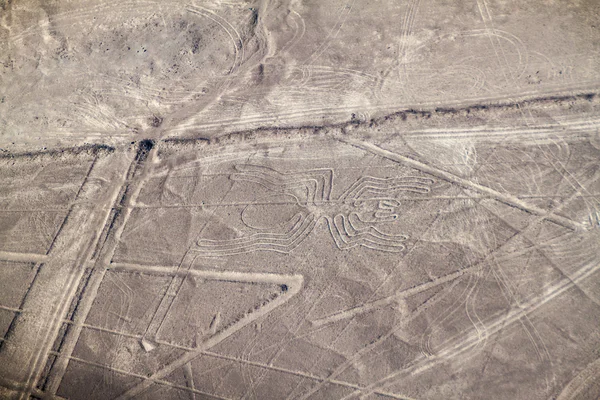 Letecký Pohled Geoglyfy Poblíž Nazca Slavná Nazca Lines Peru Centru — Stock fotografie
