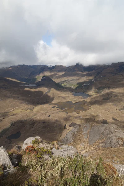 Aerial View Landscape National Park Cajas Ecuador — Stock Photo, Image