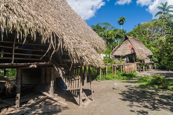 Traditional houses in peruvian jungle