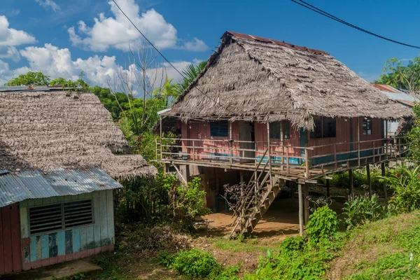 Vista Una Casa Paese Santa Clotilda Peru — Foto Stock