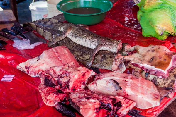 Kaaiman Vlees Koop Bij Belen Market Iquitos — Stockfoto