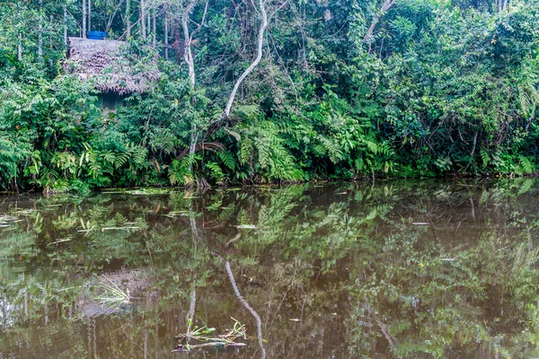 Estanque Amazonas Orfanato Animal Pilpintuwasi Pueblo Padre Cocha Cerca Iquitos —  Fotos de Stock