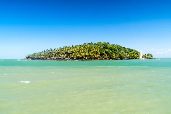 Isla San José Archipiélago Iles Salut Islas Salvación Guayana Francesa —  Fotos de Stock