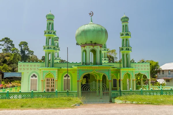 Мечеть Сельской Местности Суринама Заднем Плане — стоковое фото