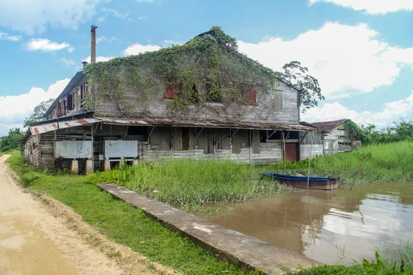 Casa Plantación Peperpot Surinam — Foto de Stock