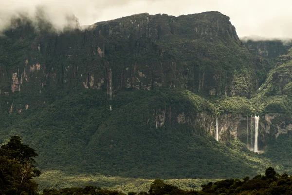 Tepui Tafelberg Auyan Nationalpark Canaima Venezuela — Stockfoto
