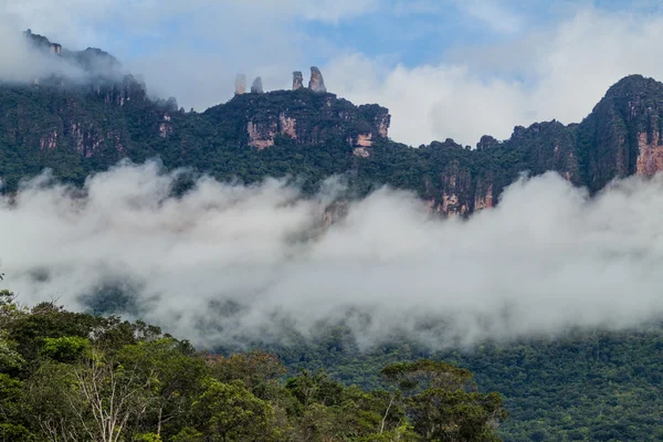 Tepui Tafelberg Auyan Nationalpark Canaima Venezuela — Stockfoto