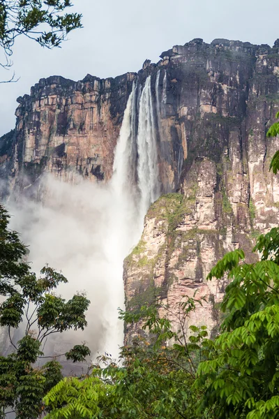 Engelsfälle Salto Angel Höchster Wasserfall Der Welt 978 Venezuela — Stockfoto