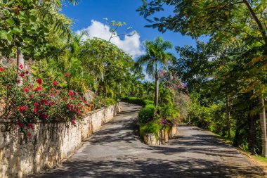 Las Terrenas, Dominik Cumhuriyeti 'nde yollar