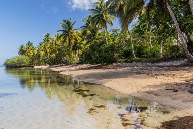 Las Terrenas plajı, Dominik Cumhuriyeti