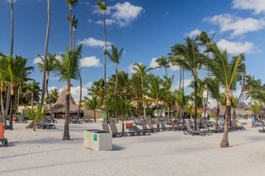 BAVARO, DOMINICAN REPUBLIC - 8 Aralık 2018: Bavaro, Dominik Cumhuriyeti