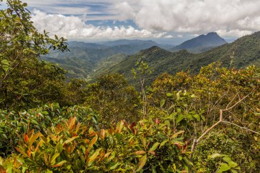 Kinabalu Dağı yakınlarındaki dağların manzarası, Sabah, Malezya