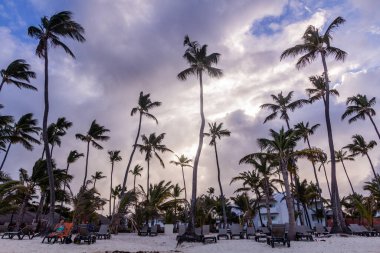 PUNTA CANA, DOMINICAN Cumhuriyet - 8 Aralık 2018: Palms at Bavaro Beach, Dominik Cumhuriyeti