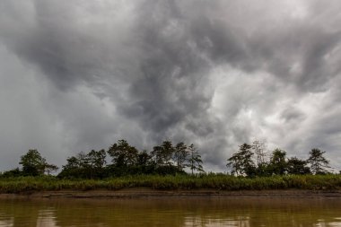 Kinabatangan nehri üzerindeki kara bulutlar, Sabah, Malezya