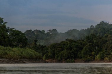 Kinabatangan Nehri 'nin puslu manzarası, Sabah, Malezya
