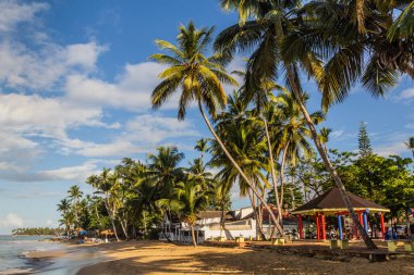 Las Terrenas plajı, Dominik Cumhuriyeti