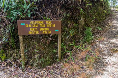 Kinabalu Park, Sabah, Malezya 'da bir ormanda yönetim kurulu.