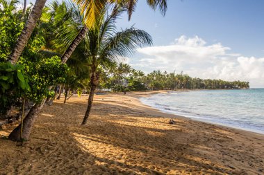 Las Terrenas plajı, Dominik Cumhuriyeti