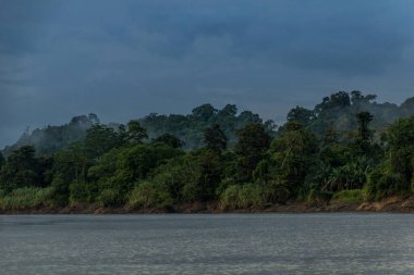 Kinabatangan Nehri 'nin puslu manzarası, Sabah, Malezya