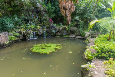 Sepilok, Sabah, Malezya 'daki Yağmur Ormanları Keşif Merkezi' nde küçük bir gölet