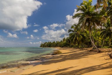 Las Terrenas plajı, Dominik Cumhuriyeti