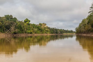 Kinabatangan nehri manzarası, Sabah, Malezya
