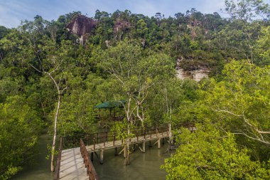 Bako Milli Parkı 'ndaki sahil yürüyüşü, Sarawak, Malezya