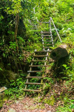 Bako Milli Parkı 'nda merdivenler, Sarawak, Malezya