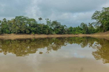 Kinabatangan nehri manzarası, Sabah, Malezya