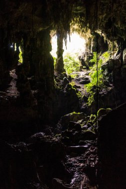 Niah Ulusal Parkı, Malezya 'daki Büyük Mağara' nın Girişi