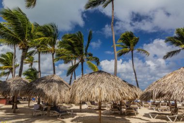 Dominik Cumhuriyeti, Bavaro plajında palmiyeler