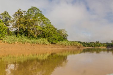 Kinabatangan Nehri kıyıları, Sabah, Malezya