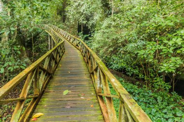 Borneo Adası, Malezya 'daki Niah Milli Parkı' nda sahil yürüyüşü