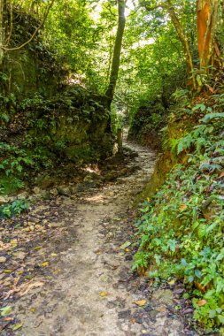 El Limon Şelalesi 'ne yürüyüş yolu, Dominik Cumhuriyeti