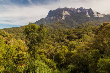 Kinabalu Dağı, Sabah, Malezya
