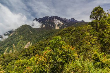 Kinabalu Dağı, Sabah, Malezya