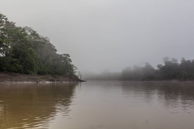 Kinabatangan nehri puslu sabah manzarası, Sabah, Malezya