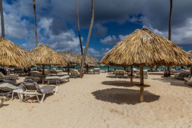 Dominik Cumhuriyeti, Bavaro plajında Thatched şemsiyesi