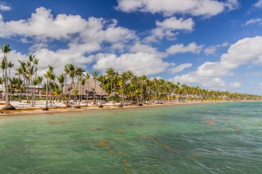 Dominik Cumhuriyeti, Bavaro plajında palmiyeler