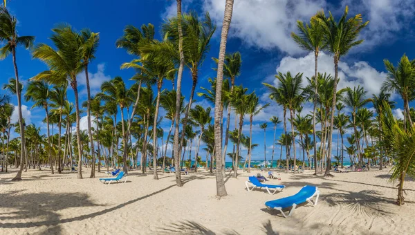 Palmeras Playa Bavaro República Dominicana — Foto de Stock