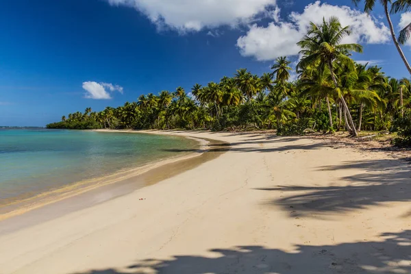 Pláž Las Terrenas Dominikánská Republika — Stock fotografie