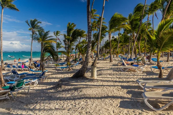 Punta Cana República Dominicana Diciembre 2018 Palmeras Playa Bavaro República — Foto de Stock